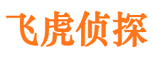 高安侦探公司